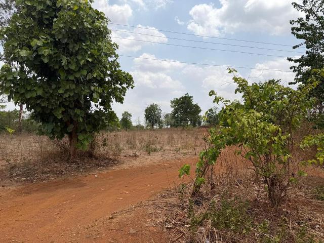 Agricultural Land in Murbad for resale Thane. The reference number is 20874863