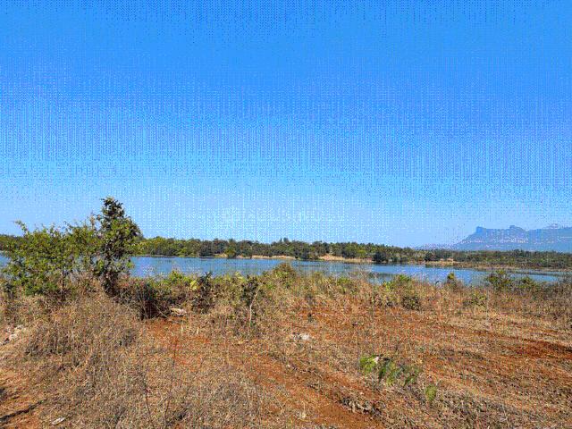 Agricultural Land in Murbad for resale Thane. The reference number is 20874910