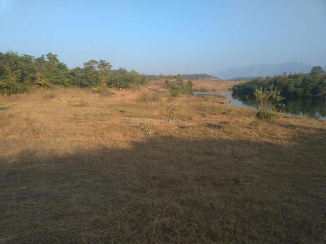 Agricultural Land in Murbad for resale Thane. The reference number is 20882547