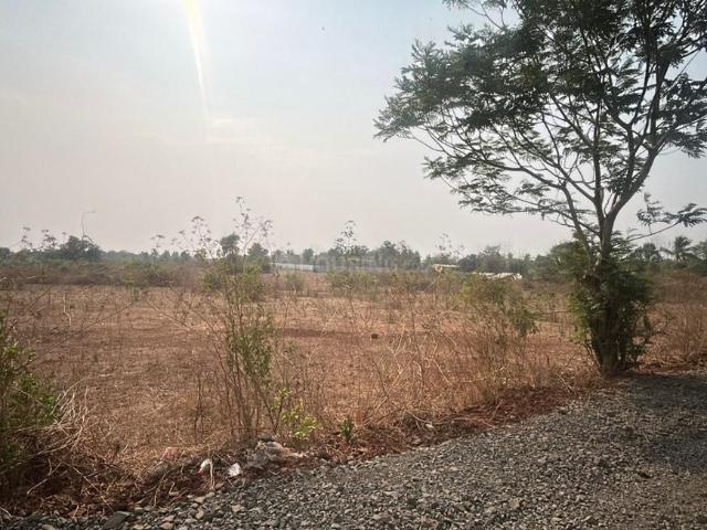 Agricultural Land in Murbad for resale Thane. The reference number is 20882702