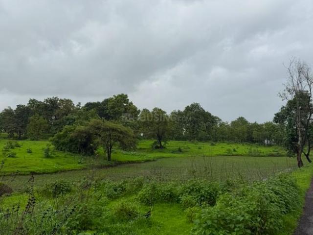 Agricultural Land in Murbad for resale Thane. The reference number is 20885749