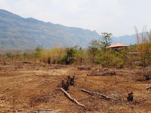 Agricultural Land in Murbad for resale Thane. The reference number is 20892652