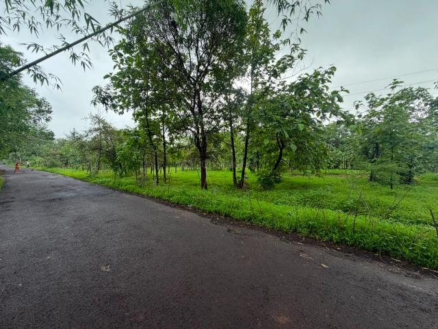 Agricultural Land in Murbad for resale Thane. The reference number is 20894332