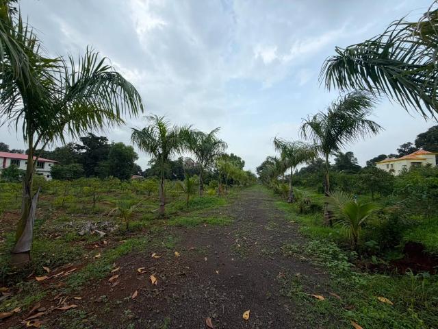 Agricultural Land in Murbad for resale Thane. The reference number is 20820776