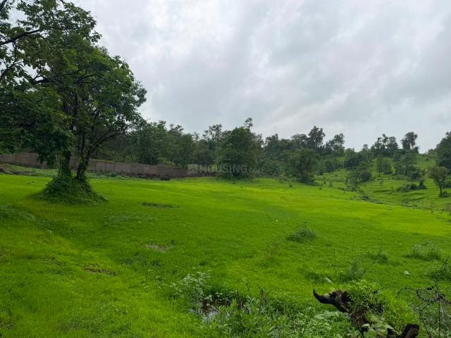 Agricultural Land in Murbad for resale Thane. The reference number is 20826420