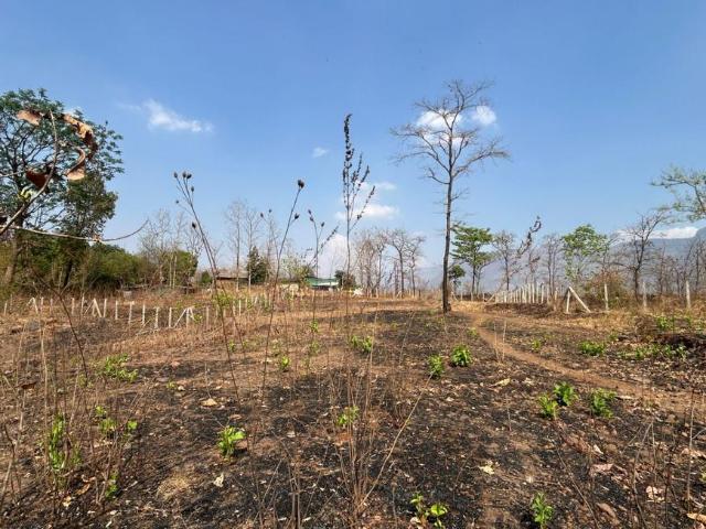 Agricultural Land in Murbad for resale Thane. The reference number is 20832767