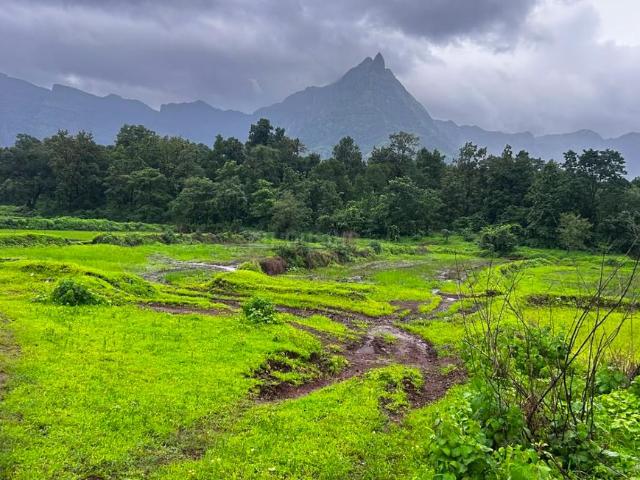Agricultural Land in Murbad for resale Thane. The reference number is 20945109