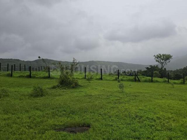 Agricultural Land in Murbad for resale Thane. The reference number is 20962039