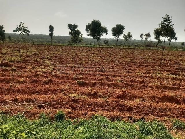 Agricultural Land in Murbad for resale Thane. The reference number is 20969040