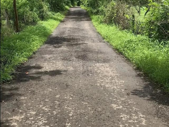 Agricultural Land in Murbad for resale Thane. The reference number is 20969242