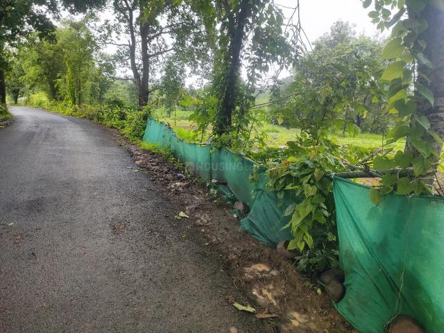 Agricultural Land in Murbad for resale Thane. The reference number is 20970374