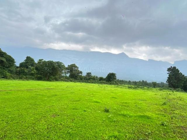 Agricultural Land in Murbad for resale Thane. The reference number is 20996540