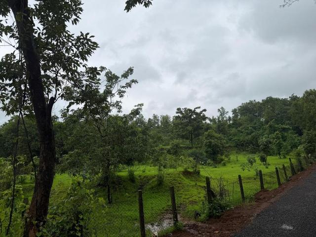 Agricultural Land in Murbad for resale Thane. The reference number is 20902769