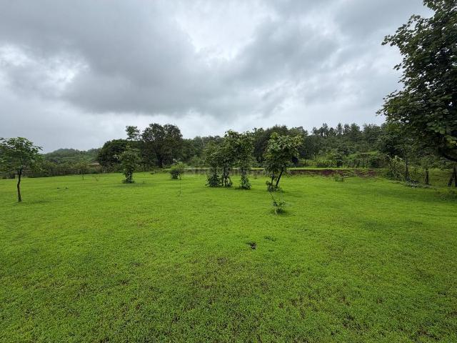 Agricultural Land in Murbad for resale Thane. The reference number is 20902891