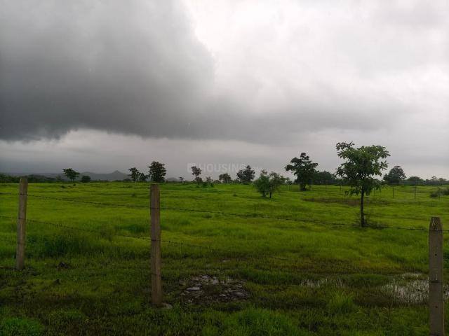 Agricultural Land in Murbad for resale Thane. The reference number is 20908554