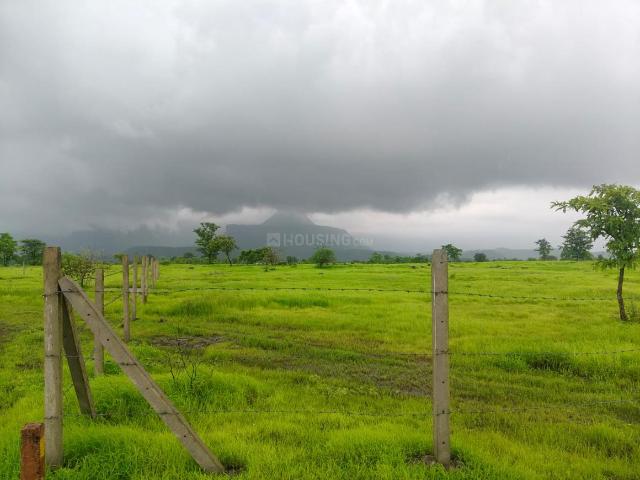 Agricultural Land in Murbad for resale Thane. The reference number is 20908554