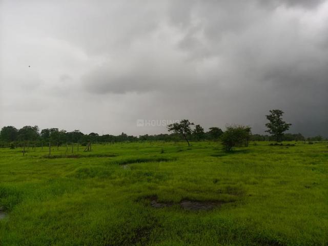Agricultural Land in Murbad for resale Thane. The reference number is 20914203