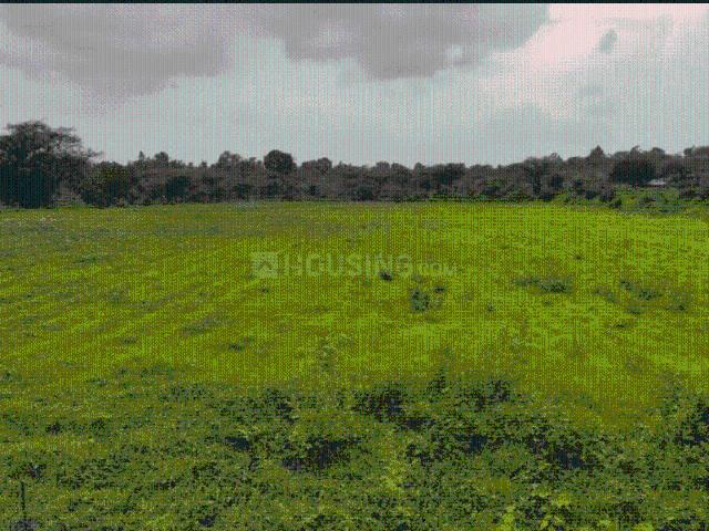Agricultural Land in Murbad for resale Thane. The reference number is 20928378