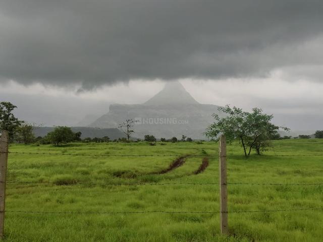 Agricultural Land in Murbad for resale Thane. The reference number is 20933870