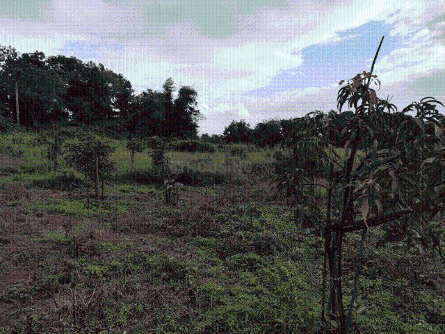 Agricultural Land in Murbad for resale Thane. The reference number is 20934041