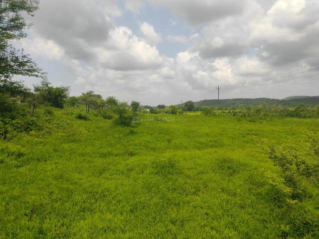 Agricultural Land in Murbad for resale Thane. The reference number is 21045342