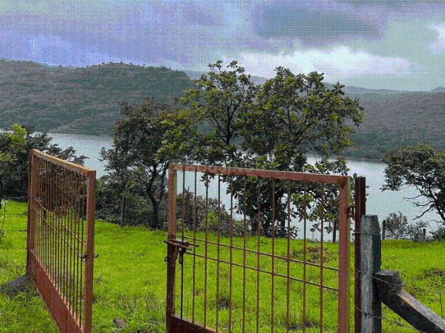 Agricultural Land in Murbad for resale Thane. The reference number is 21080822