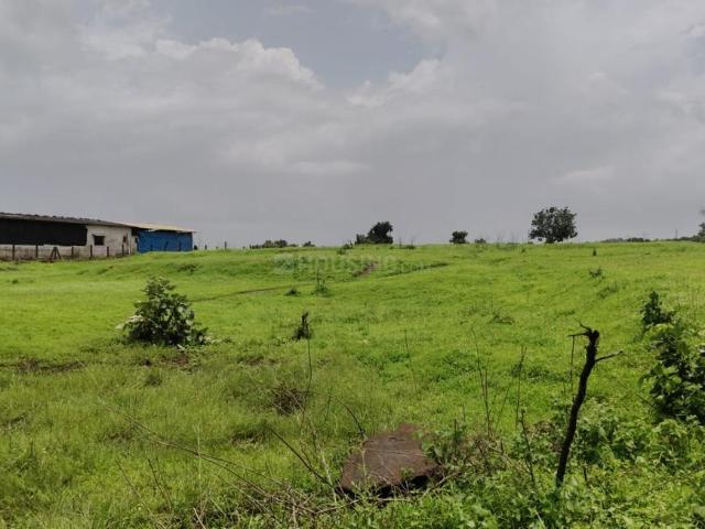 Agricultural Land in Murbad for resale Thane. The reference number is 21020406