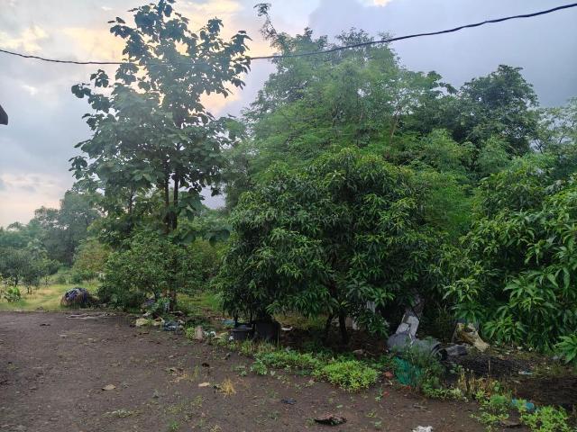 Agricultural Land in Murbad for resale Thane. The reference number is 21020562
