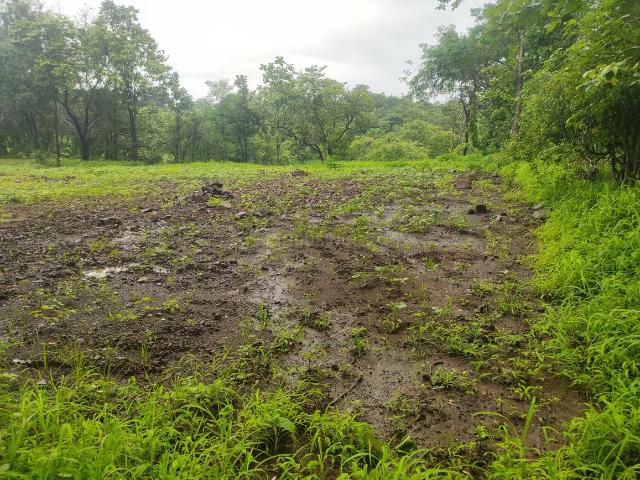 Agricultural Land in Murbad for resale Thane. The reference number is 21021132