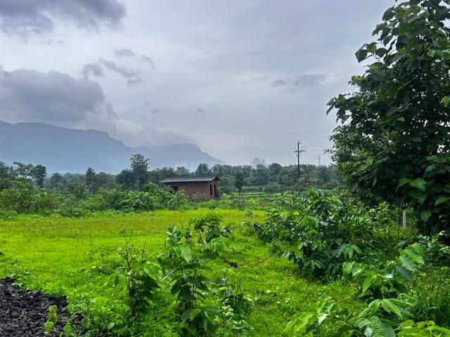 Agricultural Land in Murbad for resale Thane. The reference number is 21021212