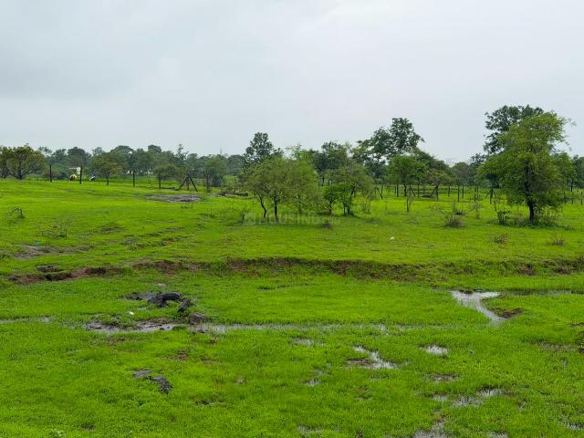 Agricultural Land in Murbad for resale Thane. The reference number is 21022956