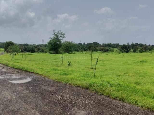 Agricultural Land in Murbad for resale Thane. The reference number is 21023017