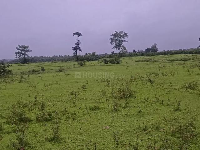 Agricultural Land in Murbad for resale Thane. The reference number is 21023984