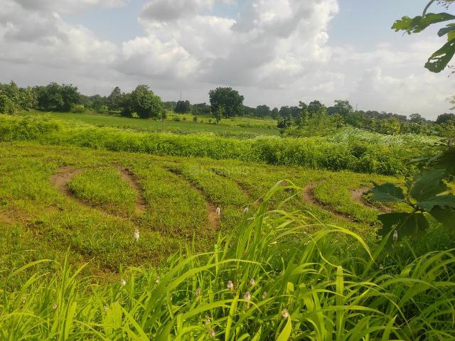 Agricultural Land in Murbad for resale Thane. The reference number is 21025826