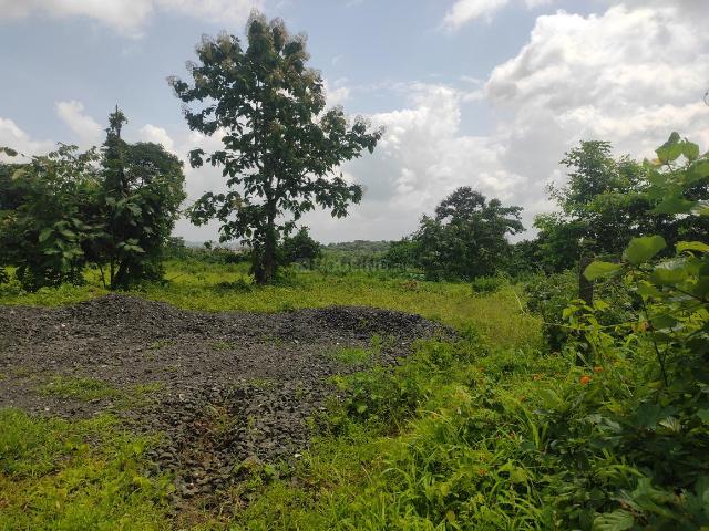 Agricultural Land in Murbad for resale Thane. The reference number is 21027052