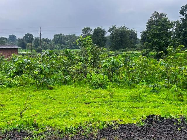 Agricultural Land in Murbad for resale Thane. The reference number is 21027121