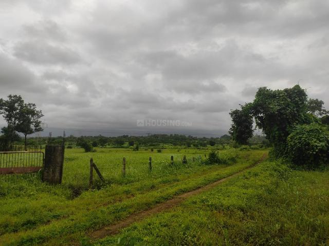 Agricultural Land in Murbad for resale Thane. The reference number is 21032121