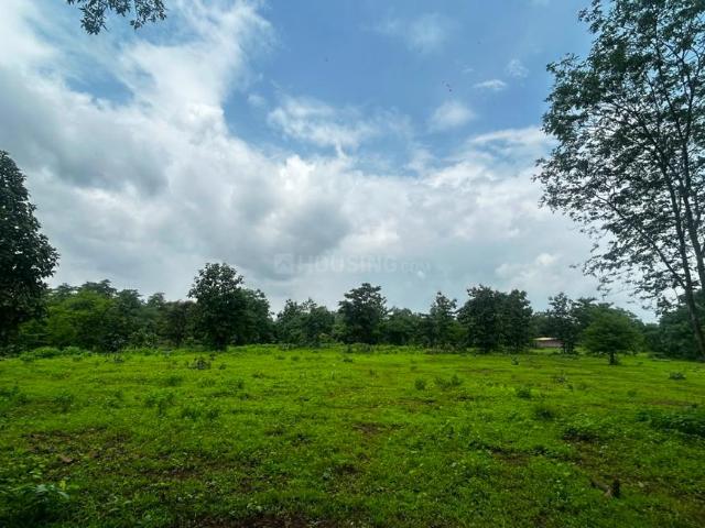 Agricultural Land in Murbad for resale Thane. The reference number is 21270206