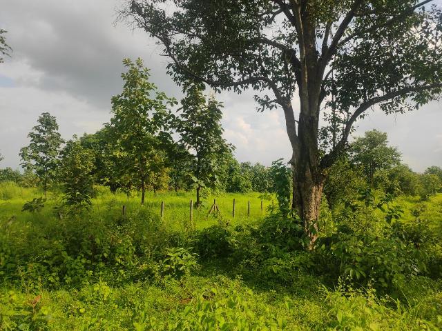 Agricultural Land in Murbad for resale Thane. The reference number is 21277322
