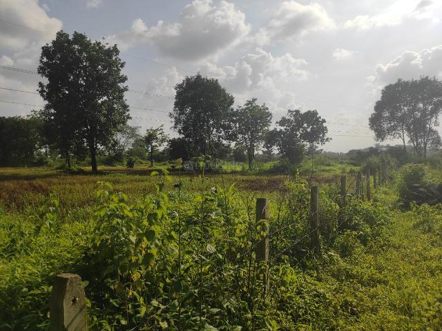 Agricultural Land in Murbad for resale Thane. The reference number is 21277446