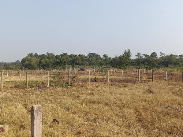 Agricultural Land in Murbad for resale Thane. The reference number is 21362909