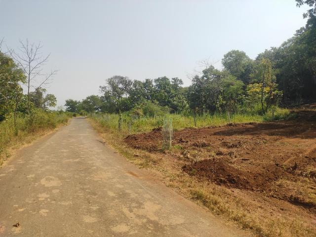 Agricultural Land in Murbad for resale Thane. The reference number is 21379958