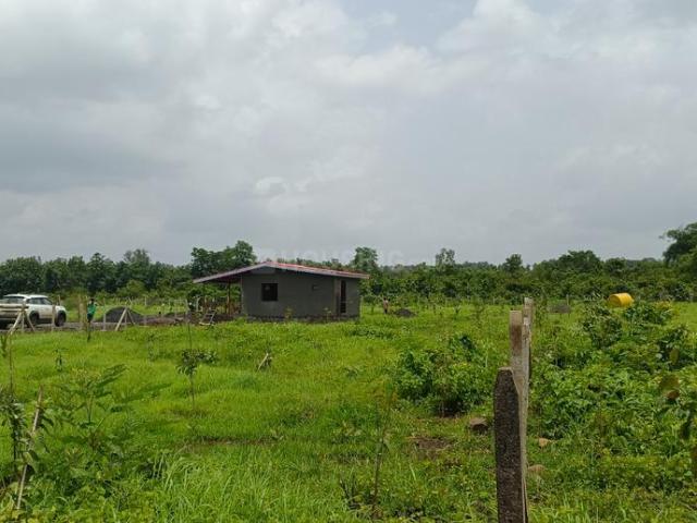 Agricultural Land in Murbad for resale Thane. The reference number is 21320603