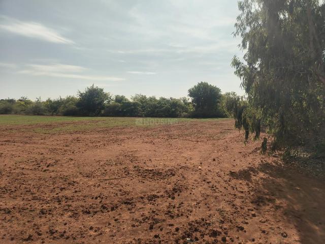 Agricultural Land in Mydanahalli for resale Mysore. The reference number is 21083124