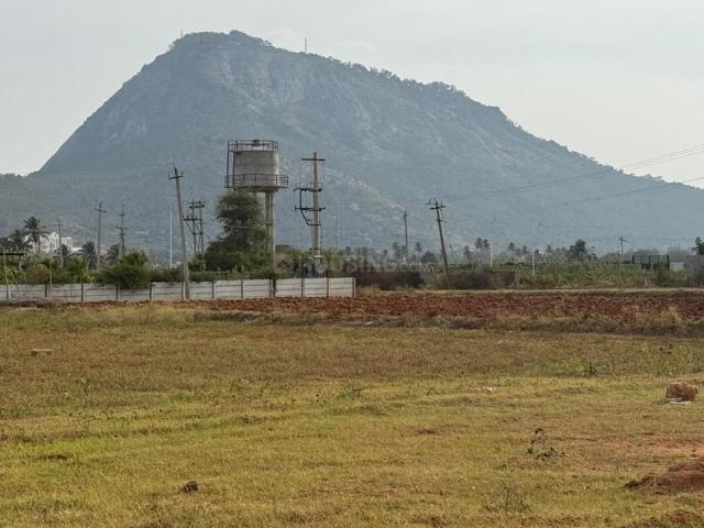 Agricultural Land in Nandi Hills for resale Chikballapur District. The reference number is 21132065