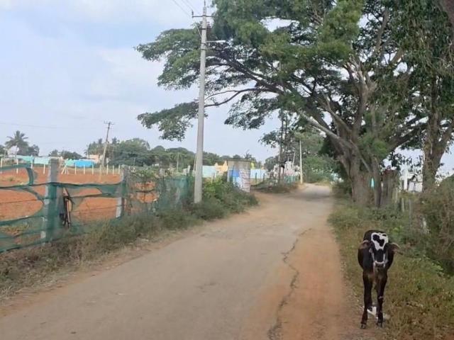 Agricultural Land in Nandi Hills for resale Chikballapur District. The reference number is 21139773