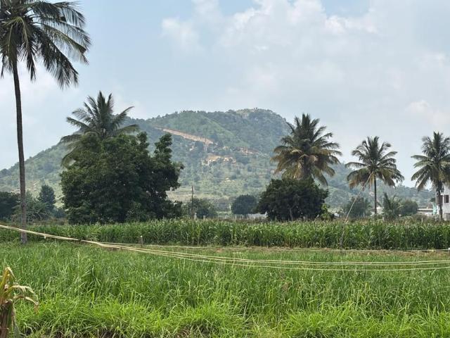Agricultural Land in Nandi Hills for resale Chikballapur District. The reference number is 21264246