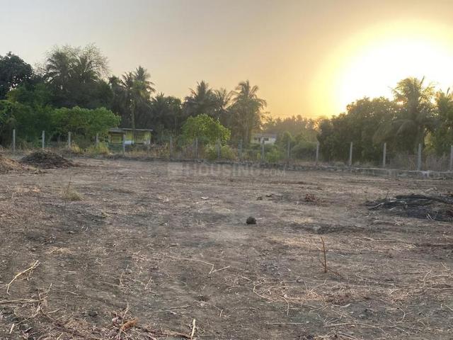 Agricultural Land in Nagaon for resale Alibag. The reference number is 20595322