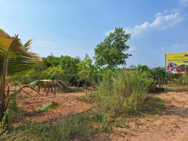 Agricultural Land in Narayankhed for resale Sangareddy. The reference number is 14395543