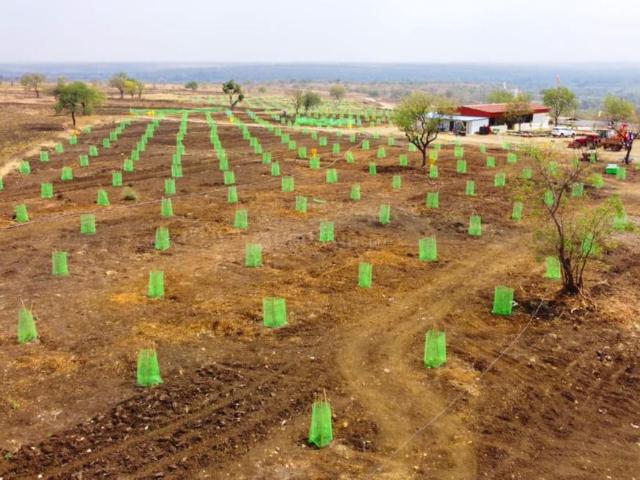 Agricultural Land in Narayankhed for resale Sangareddy. The reference number is 21052562